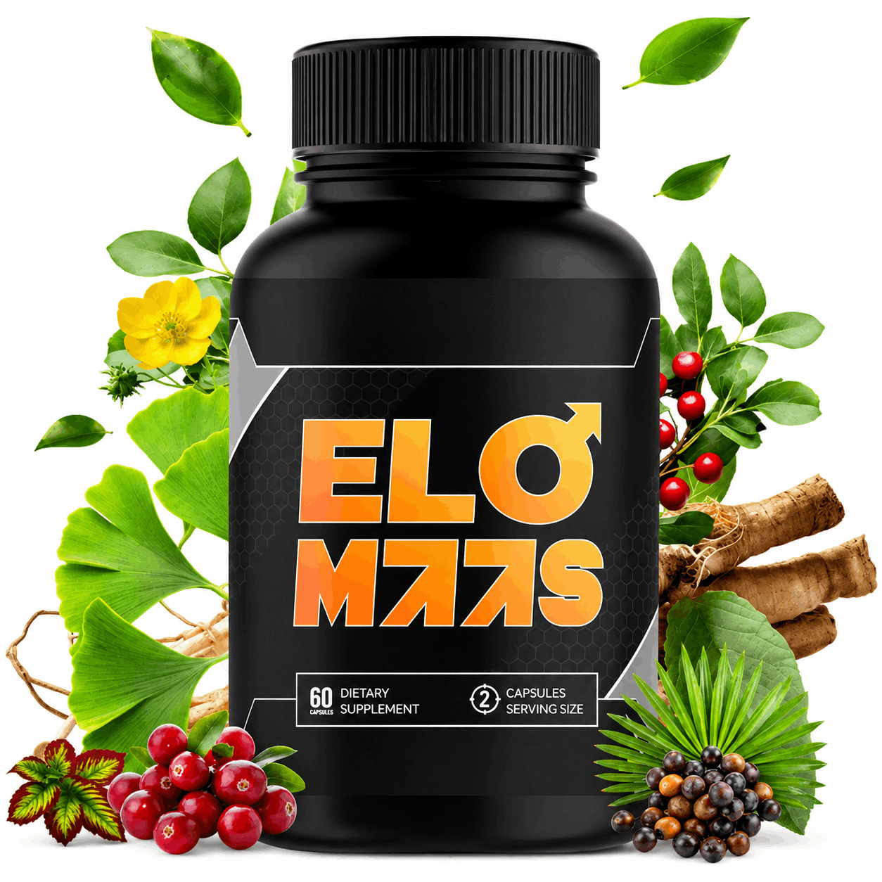 elomaas